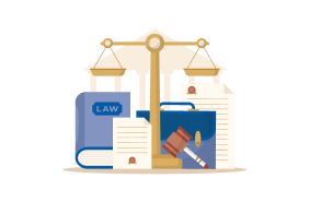 Litigation Services