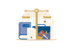 Litigation Services