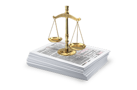 Litigation Services