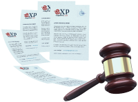 Litigation Services
