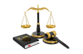 Litigation Services
