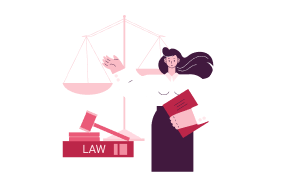 Litigation Services