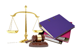 Litigation Services
